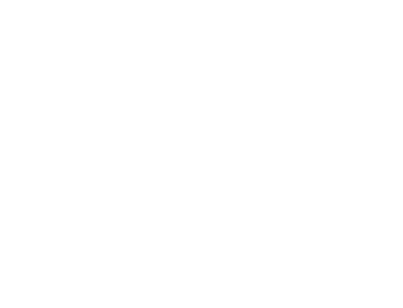 DeterminationRace